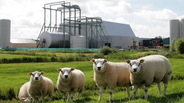 Oostwouder Tank-& Silobouw BV