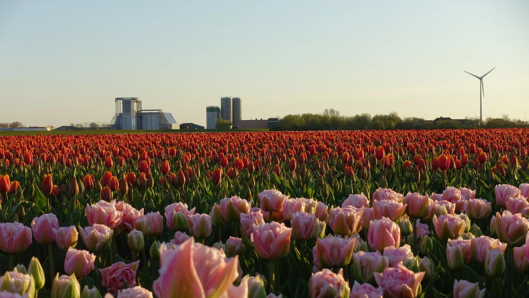 Oostwouder Tank-&amp; Silobouw BV